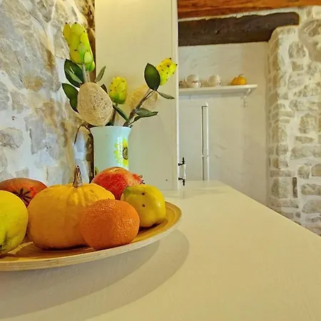 Olga Holiday home *